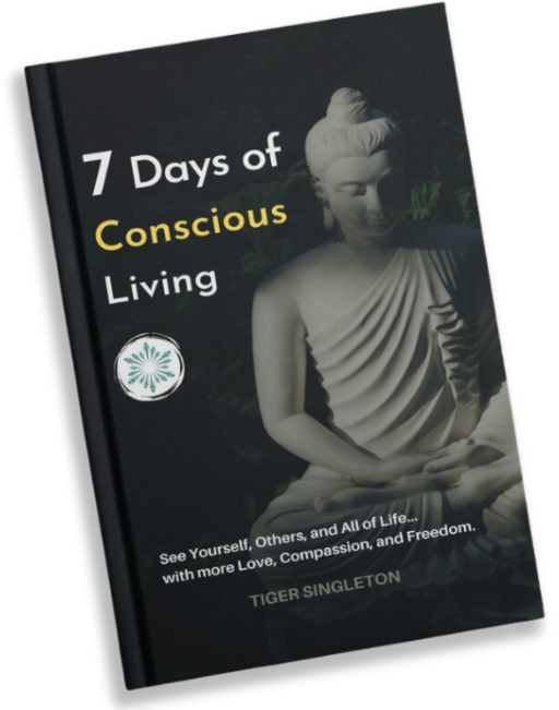 7 Days of Conscious Living